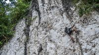 Adu Adrenalin Panjat Tebing 20 Meter di Konawe, Berani?