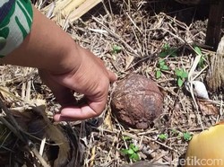 Polisi Pastikan Benda Mirip Bom di Lampung Hanya Bandul Besi Pemberat
