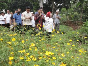 50 Petani di Serang Dilatih buat Tingkatkan Produksi Pembenihan Kedelai