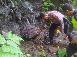 WNA AS soal Kaki Putus di Aling-aling: Saya Tidak Terpeleset dan Jatuh