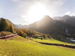 Sedihnya... Edelweiss Mulai Menghilang dari Pegunungan Alpen
