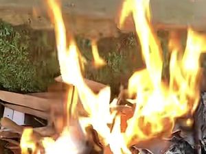 Viral Wanita Gagal Nikah karena Pacar Patuh ke Ortu, Berakhir Bakar Undangan