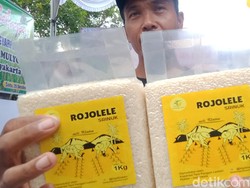 Melacak Sejarah Rojolele, Beras Unggulan Asal Delanggu Klaten
