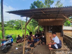 Ngonten di Rumah Farel Prayoga, Subscirbers YouTuber Melejit 10 Kali Lipat