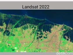Permukaan Tanah Terus Turun, Kota Pekalongan Tenggelam di 2035?