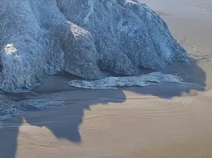 Hiiii... Ada Makhluk Laut Aneh Raksasa Berambut Putih Hiiii... Ada Makhluk Laut Aneh Raksasa Berambut Putih