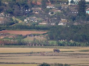 Melihat Kehidupan Warga Desa Kaepoong Korea Utara Melihat Kehidupan Warga Desa Kaepoong Korea Utara