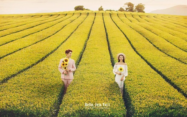 Prewedding di Jeju Island /Foto: instagram.com/koreanprewedding Foto: instagram.com/koreanprewedding