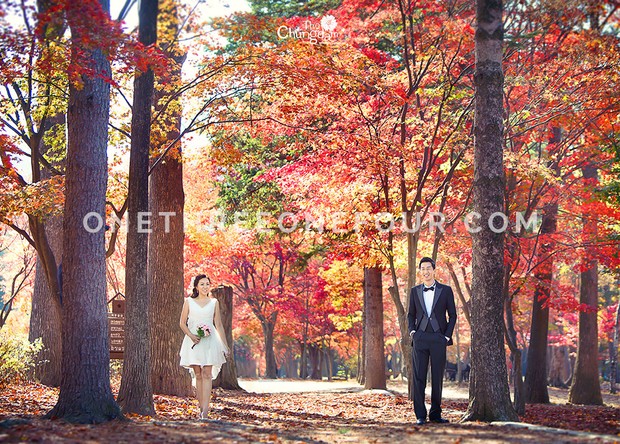 Prewedding di Seoul Forest /Foto: instagram.com/onethreeonefour Foto: instagram.com/onethreeonefour