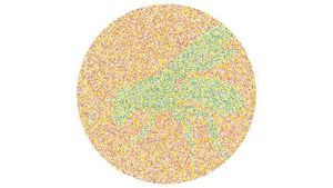 Tes Buta Warna Super Mudah! Tak Bisa Tebak, Harus Segera Cek ke Dokter
