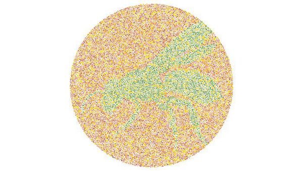 Tes Buta Warna Super Mudah! Tak Bisa Tebak, Harus Segera Cek ke Dokter