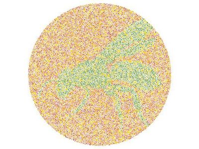 Tes Buta Warna Super Mudah! Tak Bisa Tebak, Harus Segera Cek ke Dokter