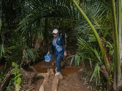Berjuang Menembus Pegunungan Demi Imunisasi Suku Baduy
