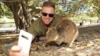 Bukan Koala, Ini Hewan yang jadi Buruan Swafoto Wisatawan di Australia