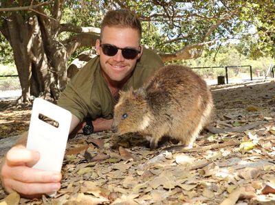 Bukan Koala, Ini Hewan yang jadi Buruan Swafoto Wisatawan di Australia
