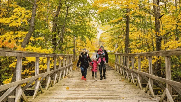 Terbius Indahnya Lanskap Musim Gugur di Berbagai Negara