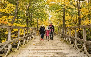 Terbius Indahnya Lanskap Musim Gugur di Berbagai Negara