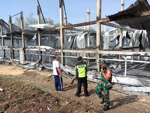 Kandang di Ponorogo Terbakar, 33 Ribu Ayam Terpanggang-Kerugian Rp 1,8 M