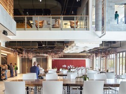 Netflix Buka Lowongan Pramugari, Gajinya Rp 5,8 M!