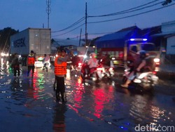 Pohon Tumbang di Jalan Pantura Semarang-Kendal, Lalin Sempat Macet