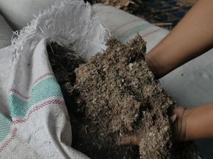 Keren! Masyarakat Lampung Sulap Sampah Jadi Bahan Bakar PLTU Tarahan