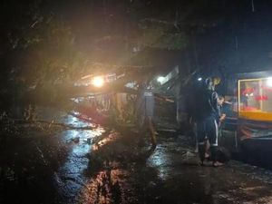 Pohon Tumbang Timpa Rumah-Tutup Jl Kapten Yusuf Bogor, Lalu Lintas Macet