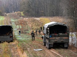 Misterius! Puing Objek Militer Ditemukan di Hutan Polandia