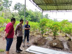 11 Tim Dokter Forensik Akan Autopsi Dua Jenazah Korban Kanjuruhan