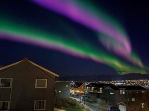 Terbius Pesona Aurora Borealis di Langit Norwegia