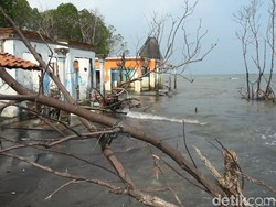 Dusun Simonet Pekalongan Makin Tenggelam, Kini Hanya Dihuni 9 KK