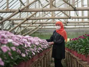 Gubernur Khofifah Ajak Masyarakat Peduli Hari Cinta Puspa dan Satwa Nasional