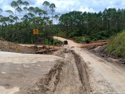 IKN Didesain Bebas Banjir Sampai 100 Tahun