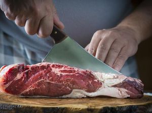 Pakar Mikrobiologi UGM Tegaskan Daging Terpapar Antraks Tak Boleh Dimakan Pakar Mikrobiologi UGM Tegaskan Daging Terpapar Antraks Tak Boleh Dimakan
