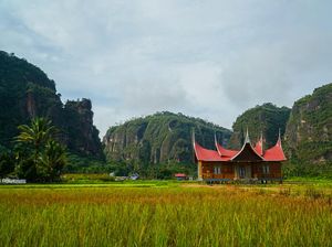 5 Spot Hidden Gem di Sumatra Barat yang Mirip Ubud 5 Spot Hidden Gem di Sumatra Barat yang Mirip Ubud