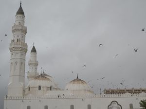 Sejarah Masjid Quba: Masjid yang Pertama Kali Dibangun Rasulullah Sejarah Masjid Quba: Masjid yang Pertama Kali Dibangun Rasulullah
