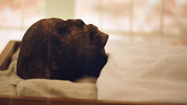 Tes DNA Ungkap Dugaan Penyebab di Balik Kematian Raja Firaun Tutankhamun