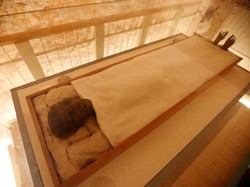 Terungkap Lewat Tes DNA, Ini Kemungkinan Penyebab Kematian Raja Firaun Tutankhamun