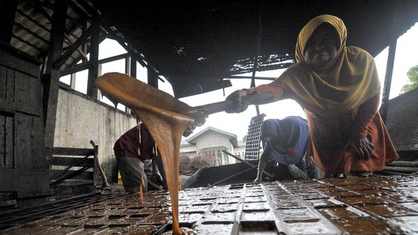Melihat Proses Pembuatan Gula Tebu di Kerinci