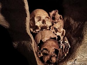 Uji Nyali di Makam Gua Londa Toraja, Ada yang Berani Coba? Uji Nyali di Makam Gua Londa Toraja, Ada yang Berani Coba?