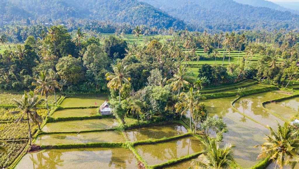 Desa Wisata Sudaji yang Mempesona, Runner Up ADWI 2022