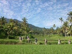 Dispar Optimis 238 Desa Wisata Bali Kian Dilirik Turis