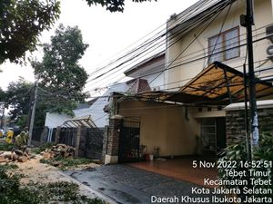 Pohon Tumbang Timpa Dua Rumah-Satu Mobil di Tebet