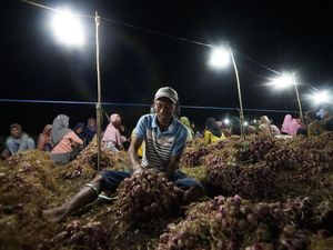 Program Bantuan Listrik PLN Tingkatkan Produktivitas Petani Bawang NTB