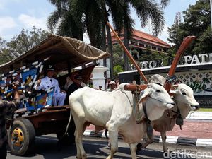 Ramai gegara Rocky Gerung, Ini Potret Bajingan Sebenarnya di Bantul