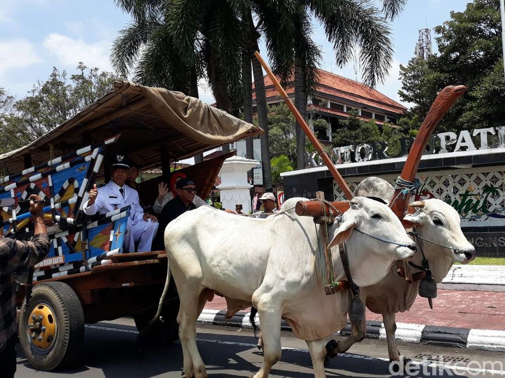 21 Lurah di Bantul Dilantik, Ada yang Dijemput Bajingan Naik Gerobak Sapi 21 Lurah di Bantul Dilantik, Ada yang Dijemput Bajingan Naik Gerobak Sapi