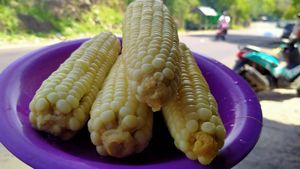 Makan Jagung Rebus Makin Nikmat Sambil Lihat Indahnya Tekasire
