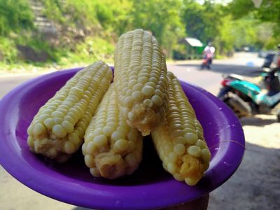 Makan Jagung Rebus Makin Nikmat Sambil Lihat Indahnya Tekasire