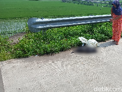 Geger Temuan Karung Berbau Bangkai di Bandung, Isinya Ternyata...