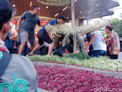 Seorang Pria di Medan Dikeroyok: Dipukul Pakai Helm-Diseret ke Aspal