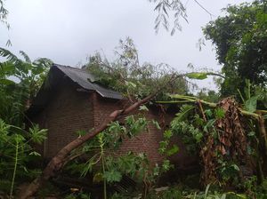 Hujan Es Disertai Angin Kencang di Jombang Rusak Sekolah hingga Rumah Warga